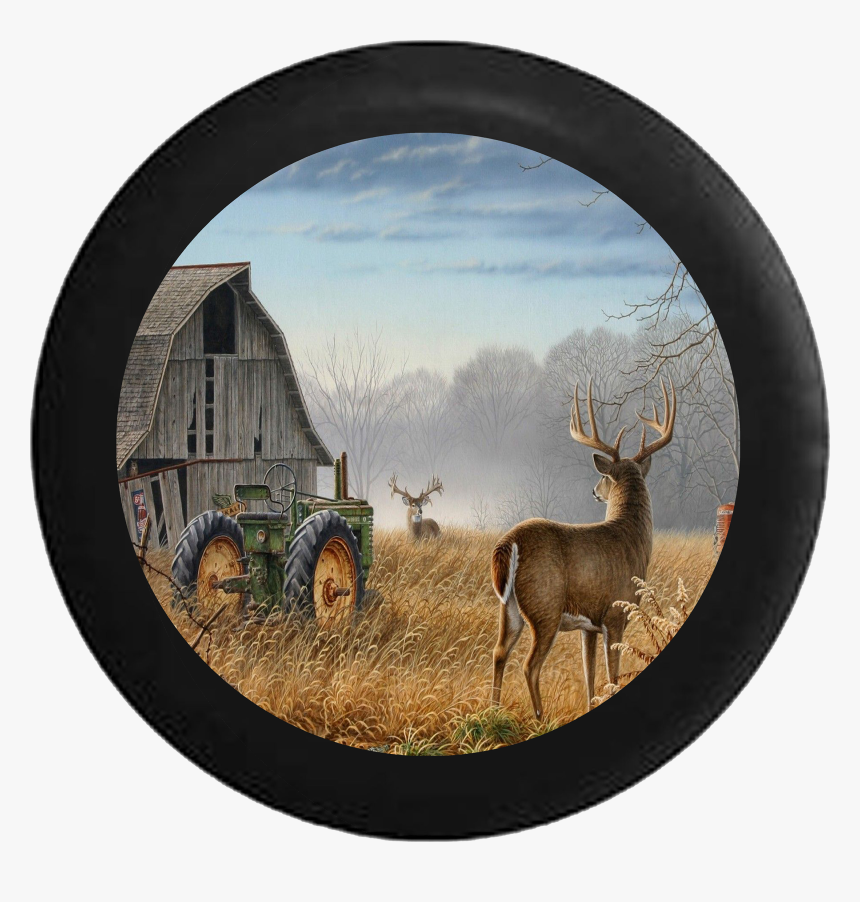 Transparent White Tailed Deer Png - Old Barn John Deere Paint, Png Download, Free Download