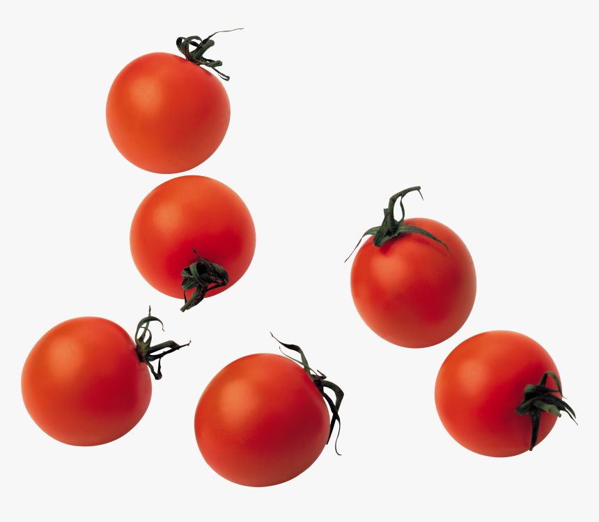 Best Tomatoes Png - Tomatoes Png, Transparent Png, Free Download