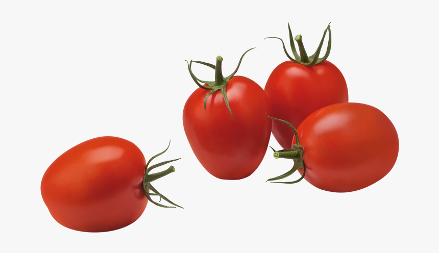 Plum Tomatoes - Plum Tomato Png, Transparent Png, Free Download