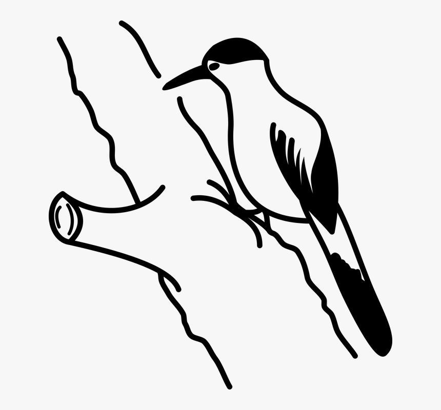 Woodpecker Png - Silueta De Pica Pau, Transparent Png, Free Download