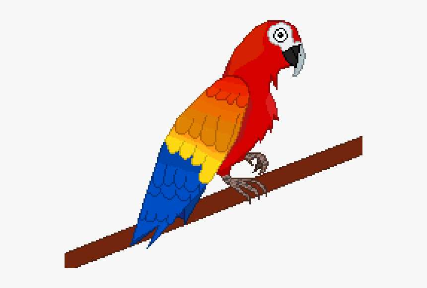 Macaw, HD Png Download, Free Download