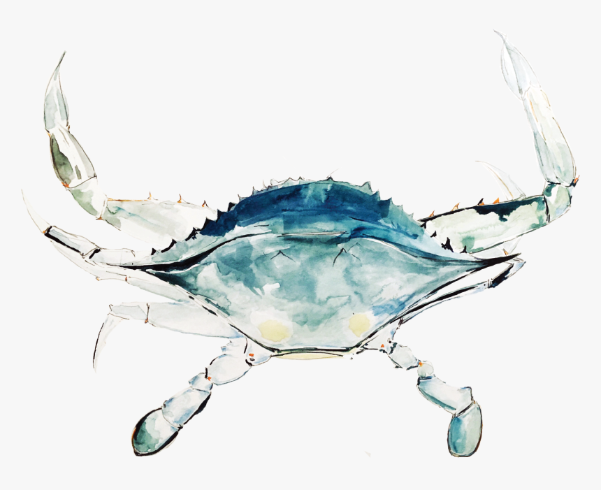 Chesapeake Blue Crab, HD Png Download, Free Download