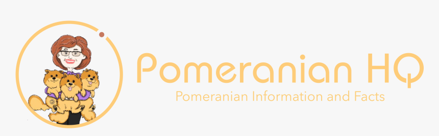 Pomeranian Headquarters - Amber, HD Png Download, Free Download