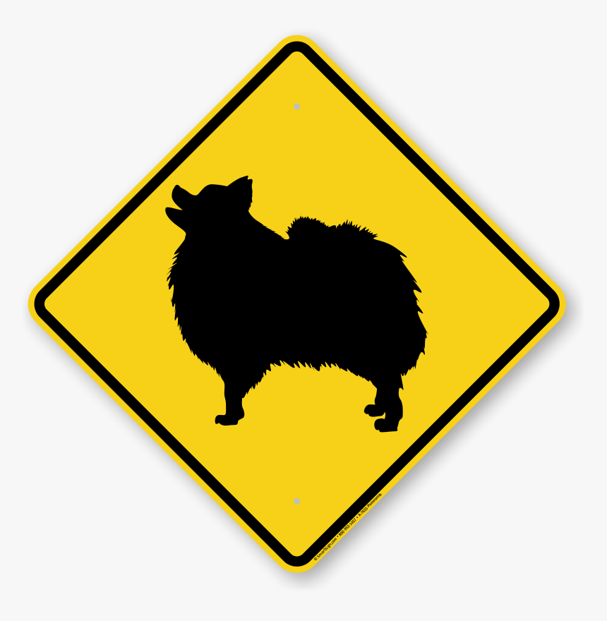 Beware Of Dog Pomeranian, HD Png Download, Free Download