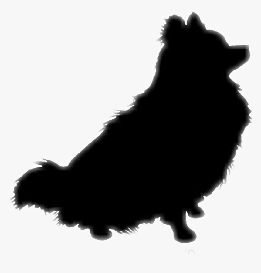 Pomeranian Cliparts - Transparent Pomeranian Clipart, HD Png Download, Free Download