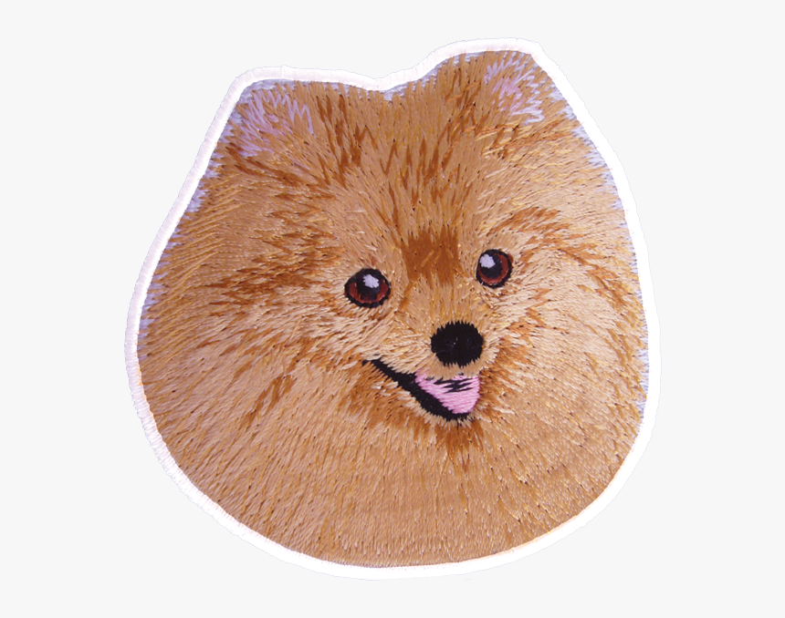 German Spitz Klein, HD Png Download, Free Download