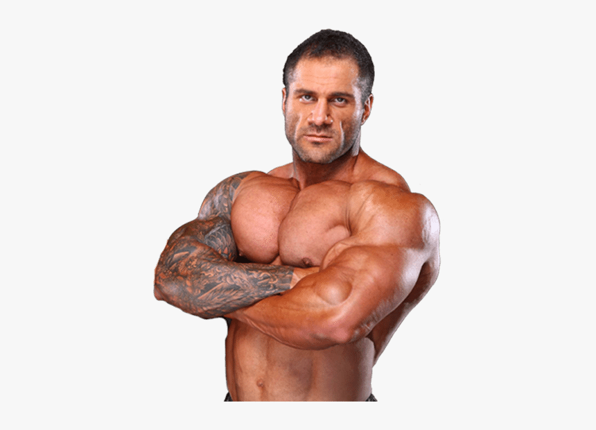 Bodybuilding Png - Gym Muscle Body Builder Png, Transparent Png, Free Download