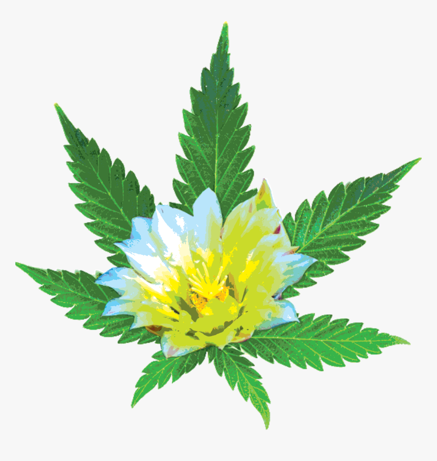 Desertbloom Leaf Posterized - Transparent Weed Png, Png Download, Free Download