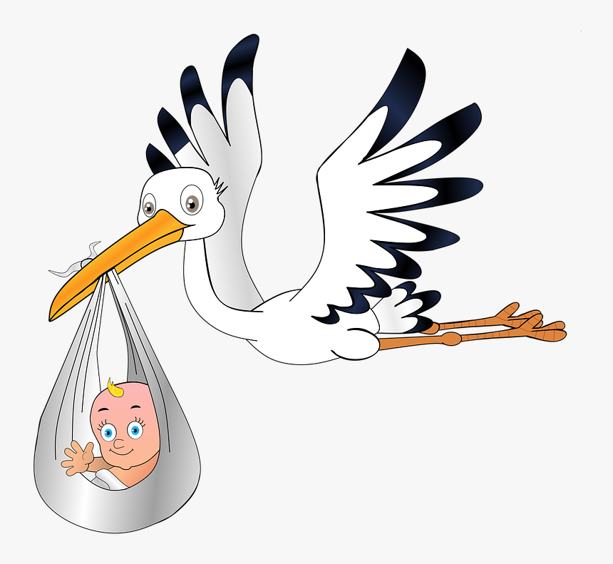 Stork, Baby, Birth, Young, Pregnant, Sky, Rattle Stork - חסידה תינוק, HD Png Download, Free Download