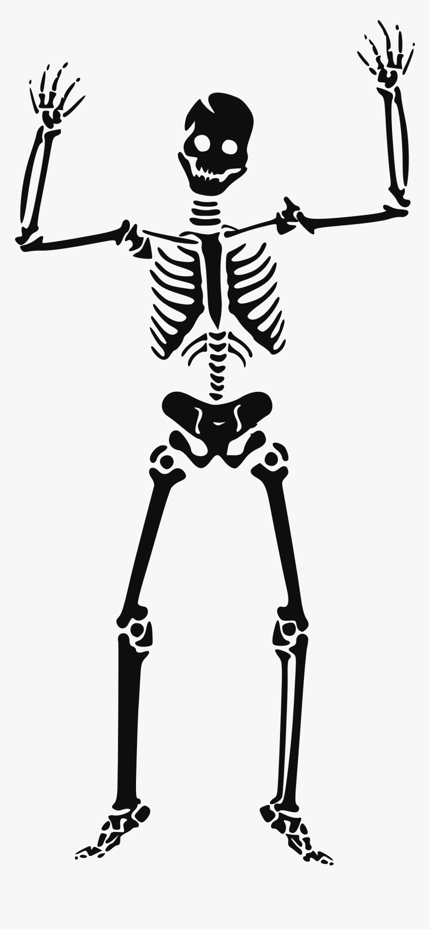 Famine Clip Art - Skeleton Clipart, HD Png Download - kindpng