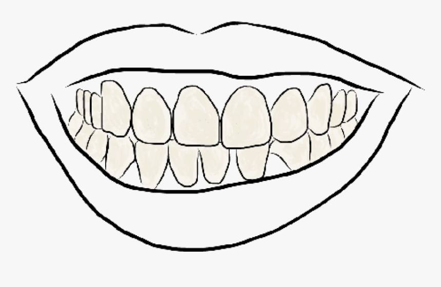 Free Png Download Outline Image Of Teeth Png Images - Teeth Drawing Png ...