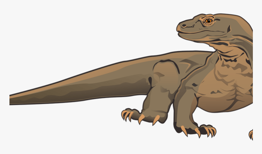 Komodo Dragon Clipart White Background - Komodo Dragon Clipart, HD Png Download, Free Download