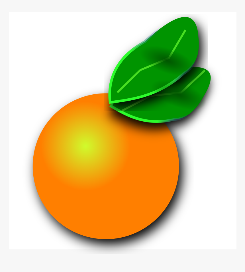 Clipart - Florida Orange Clipart, HD Png Download, Free Download