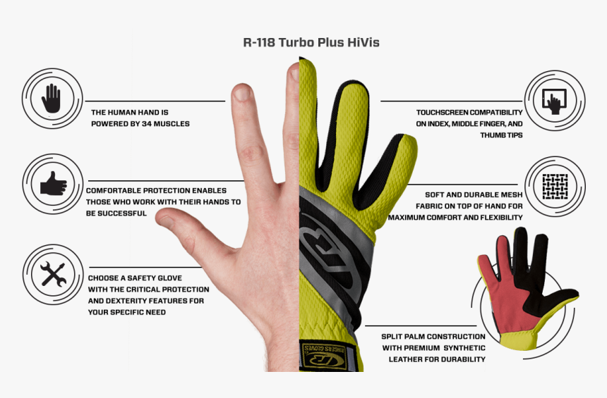 Diy Gloves - Glove Features, HD Png Download, Free Download