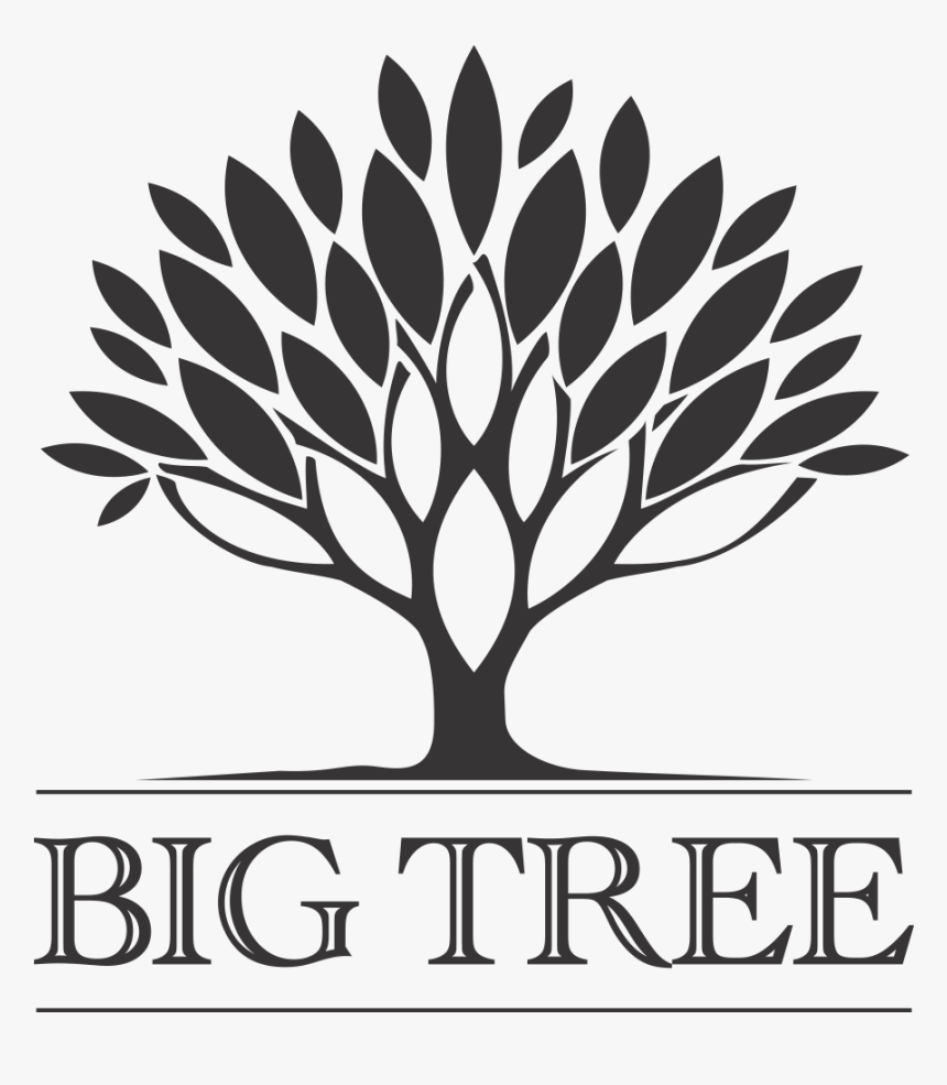 Transparent Big Tree Png - Topline Technologies, Png Download, Free Download