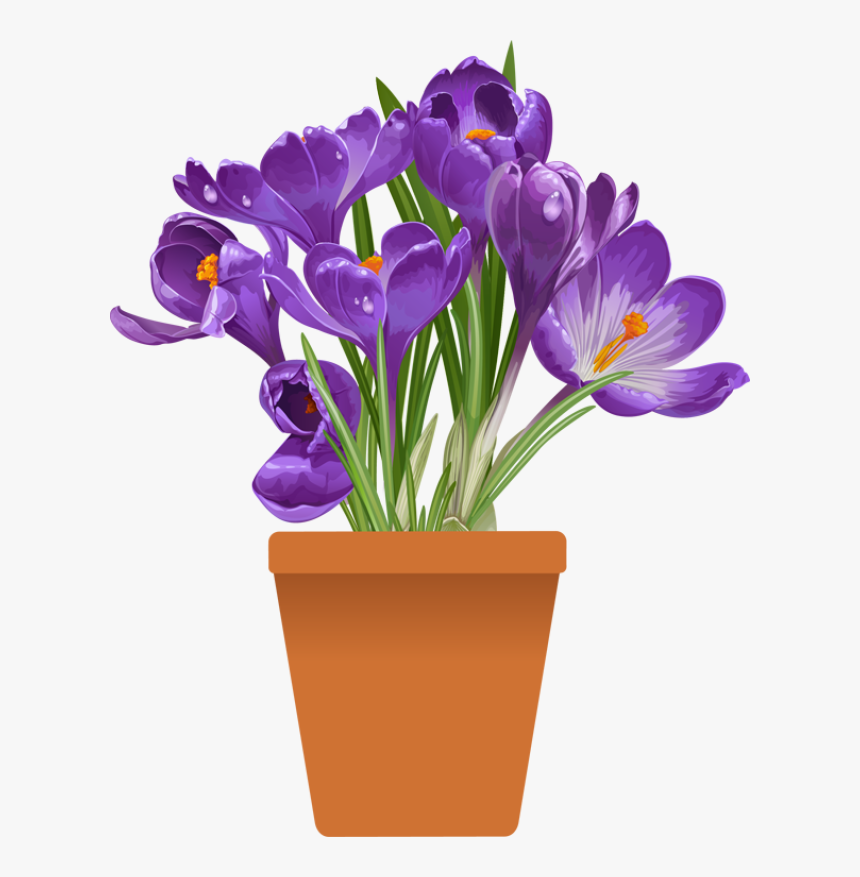 Flower Pot Images Cliparts, HD Png Download, Free Download