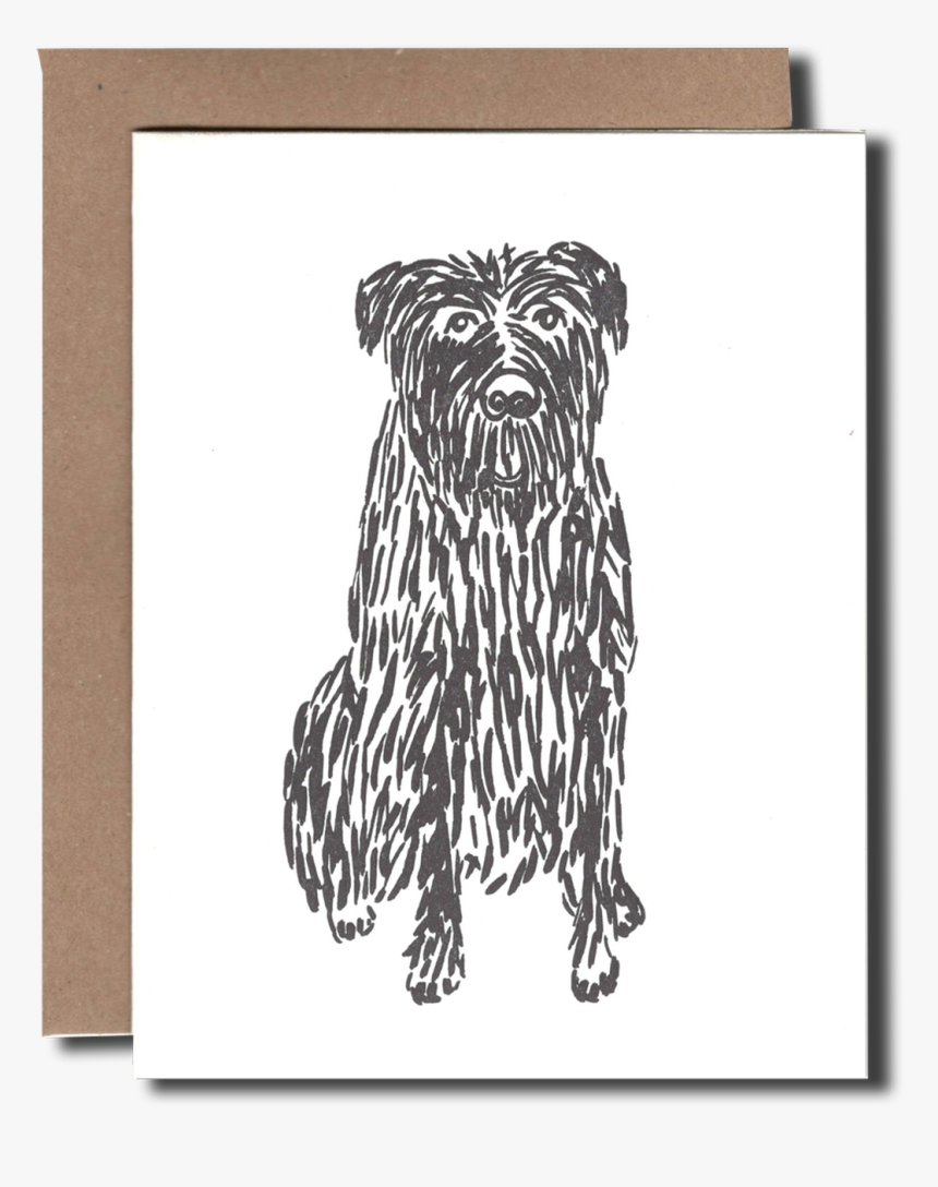Shaggy Dog - Yorkshire Terrier, HD Png Download, Free Download