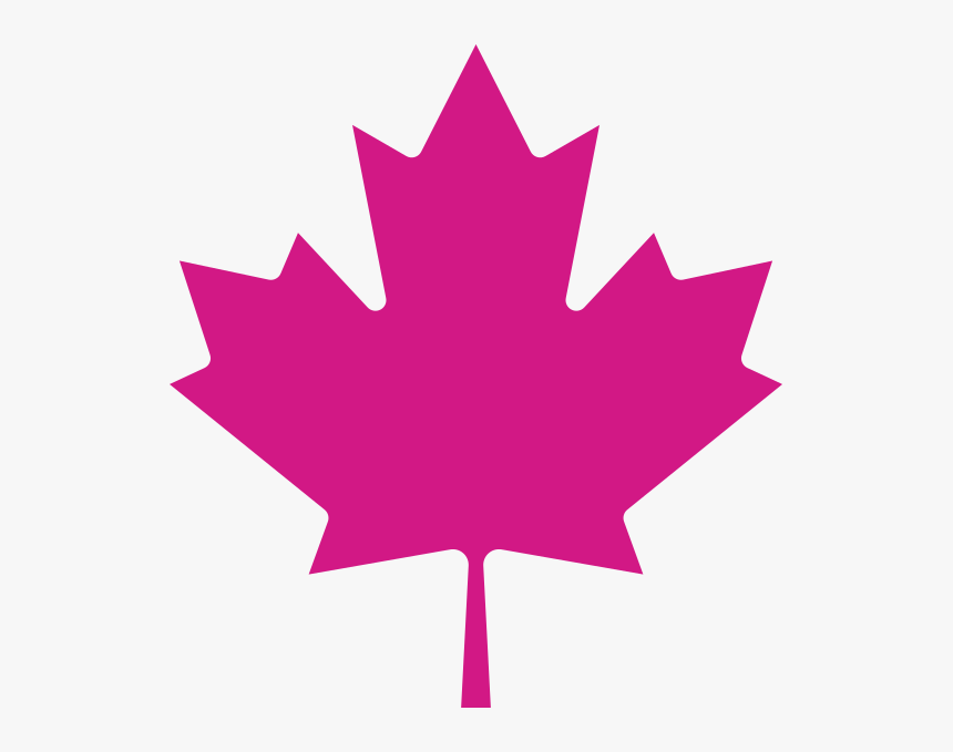 Chp Maple Leaf - Canadian Red Maple Leaf, HD Png Download, Free Download