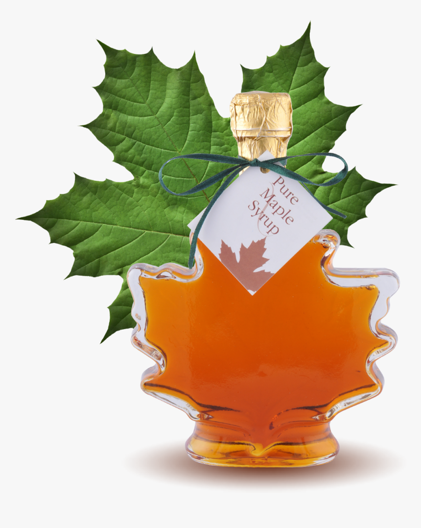 100% Pure Maple Syrup Large Maple Leaf Bottle 8oz 250ml - Mini Maple Leaf Bottles, HD Png Download, Free Download