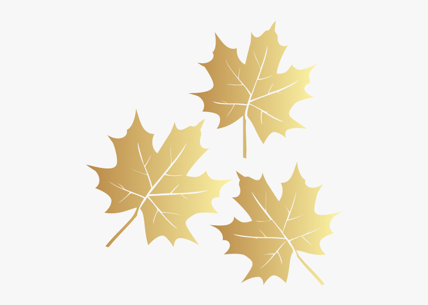 Maple Leaf, HD Png Download, Free Download