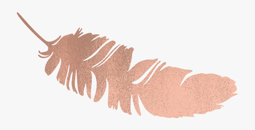 Rose Gold Feather Png, Transparent Png, Free Download