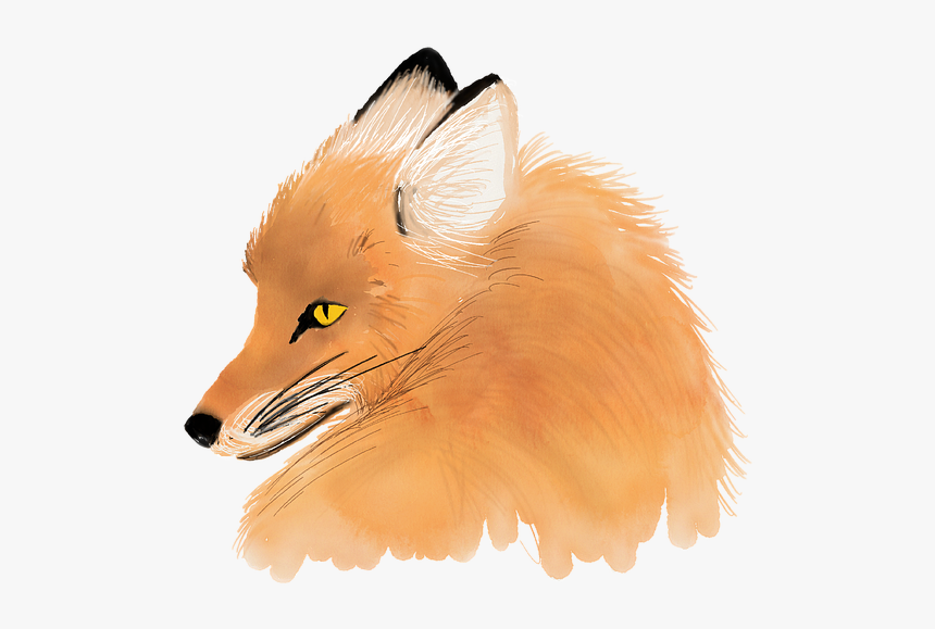 Watercolour Fox, Watercolor, Animal, Drawing, Painting - Animales Dibujos En Acuarela, HD Png Download, Free Download