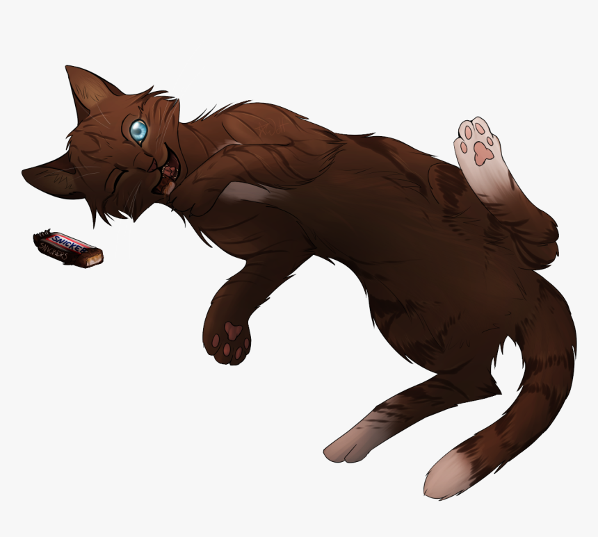 Brown Cat With Blue Eyes Drawing - Dark Brown Cat Drawing, HD Png Download, Free Download