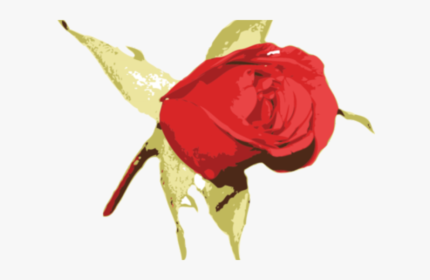 Rose Cartoon Drawing - Rose, HD Png Download, Free Download