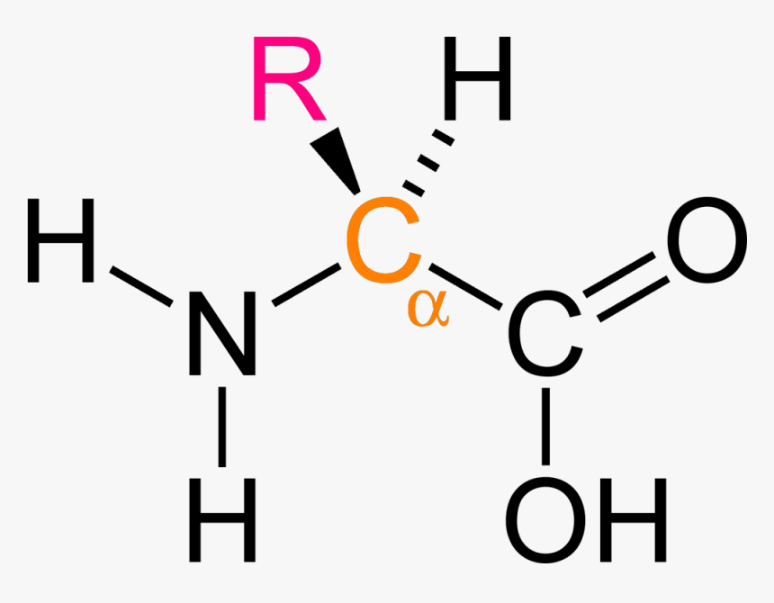 Alpha Amino Ac - N -( Phosphonomethyl Iminodiacetic Acid Hydrate, HD Png Download, Free Download