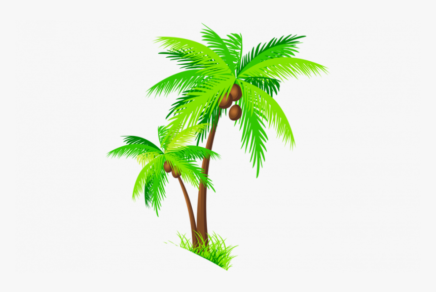 Clip Art Coconut Tree, HD Png Download, Free Download