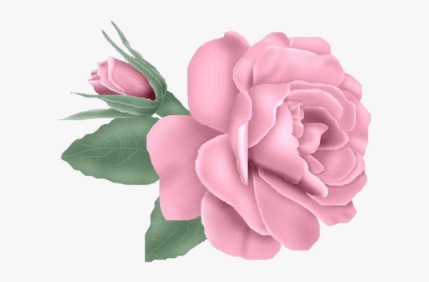 Transparent Burgundy Rose, HD Png Download, Free Download