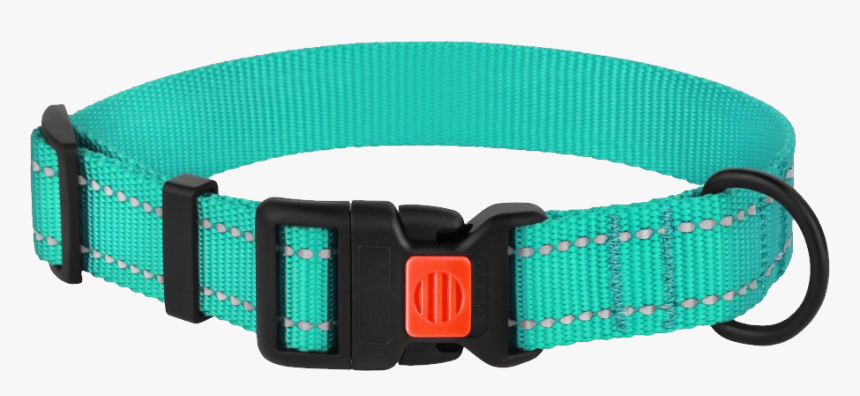 Dog Collar Png - Reflective Collars For Dogs, Transparent Png, Free Download