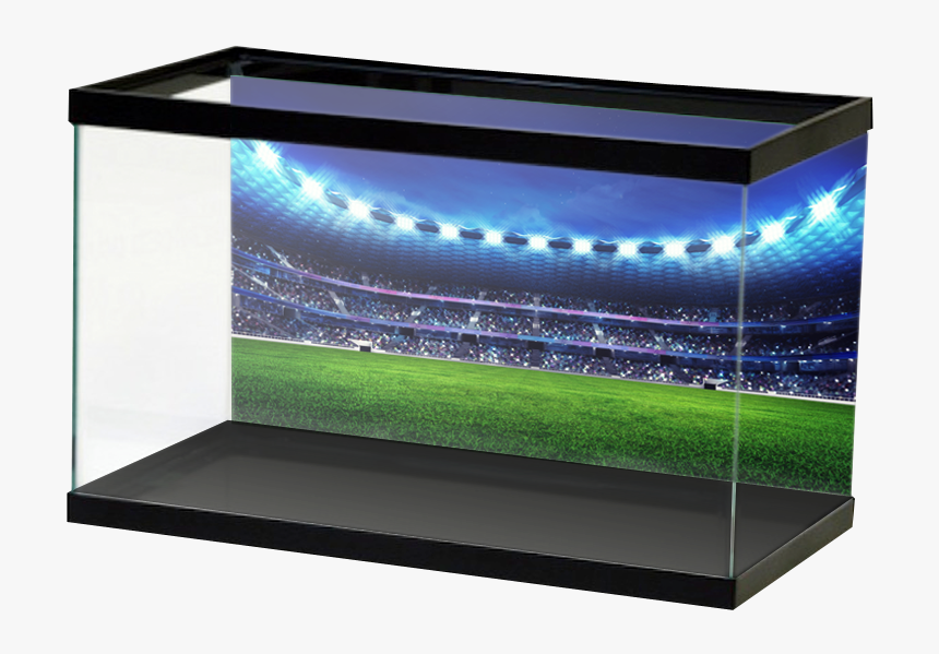 Stadium, HD Png Download, Free Download