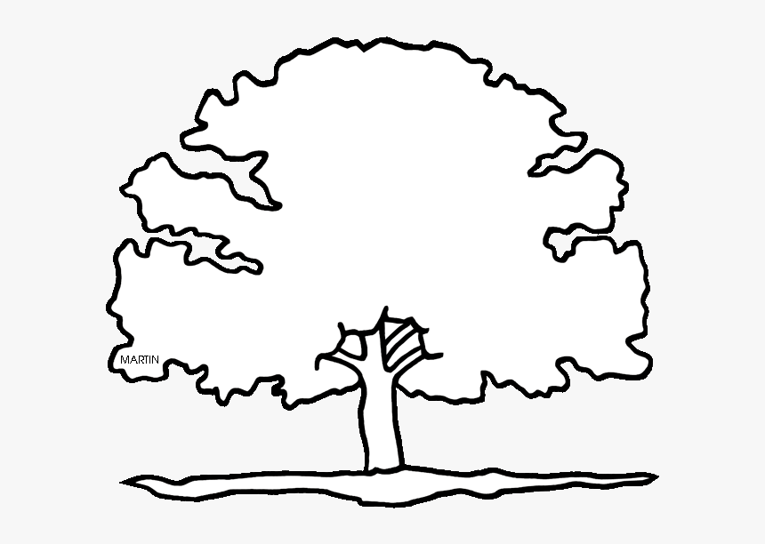 Texas State Pecan Tree Coloring Coloring Pages