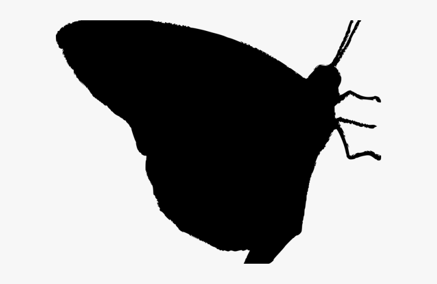 Transparent Butterfly Vector Png, Png Download, Free Download