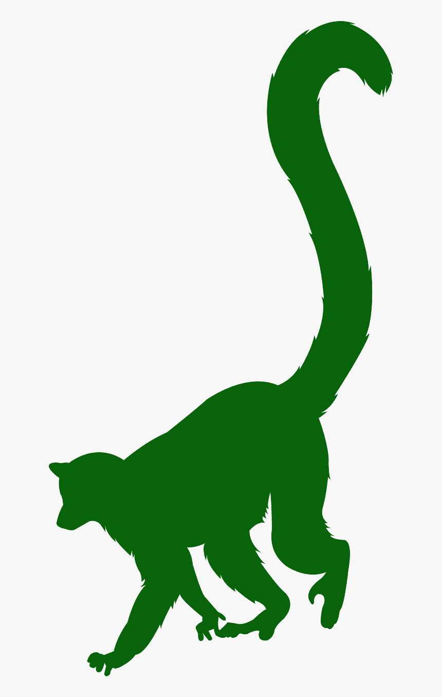 Ring Tailed Lemur Silhouette, HD Png Download, Free Download