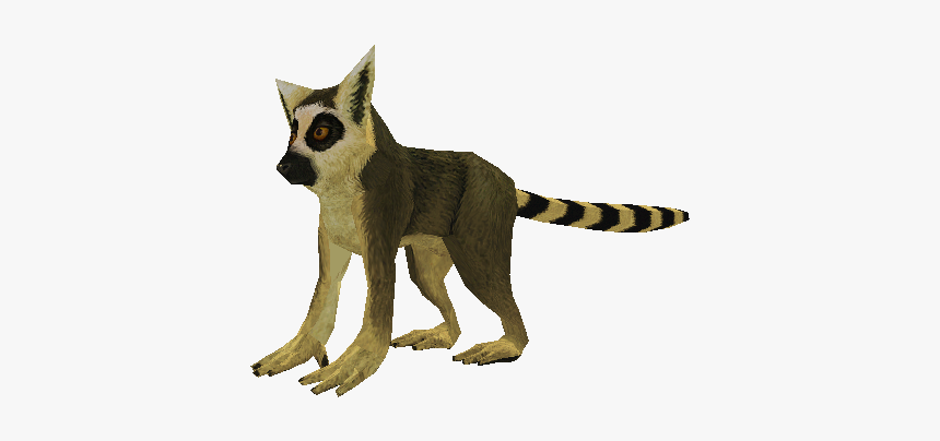 Download Zip Archive - Zoo Tycoon 2 Ring Tailed Lemur, HD Png Download, Free Download