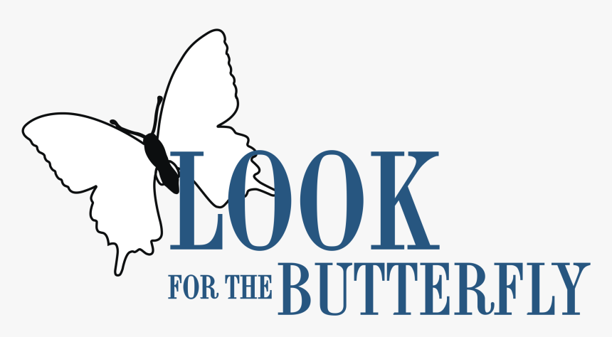 Butterfly, HD Png Download - kindpng