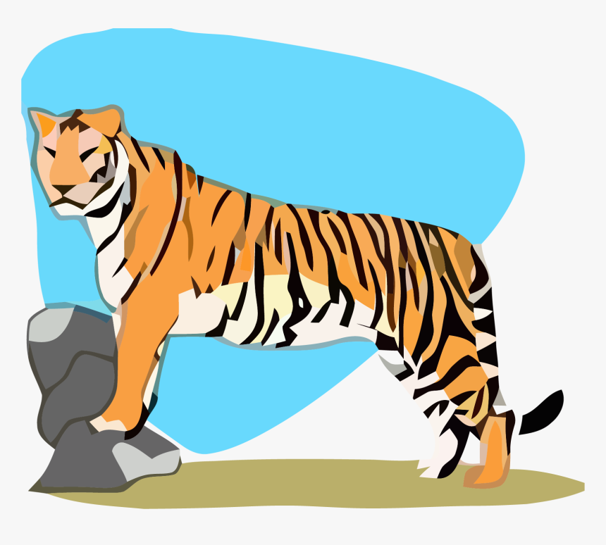 Siberian Tiger, HD Png Download, Free Download