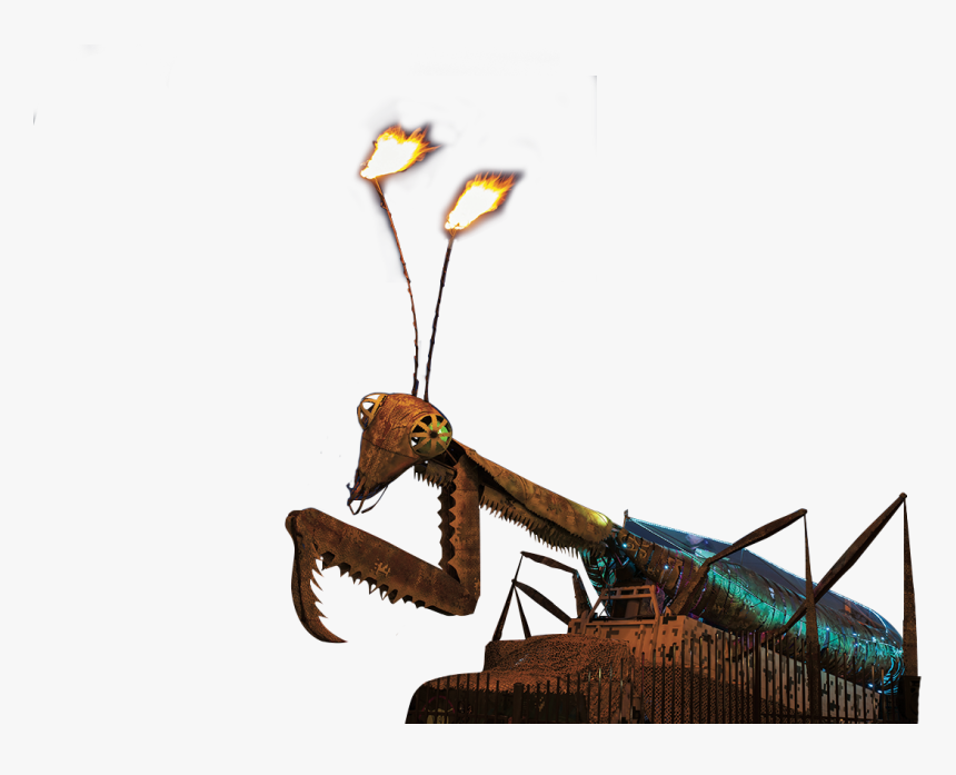 Container Park Mantis, HD Png Download, Free Download