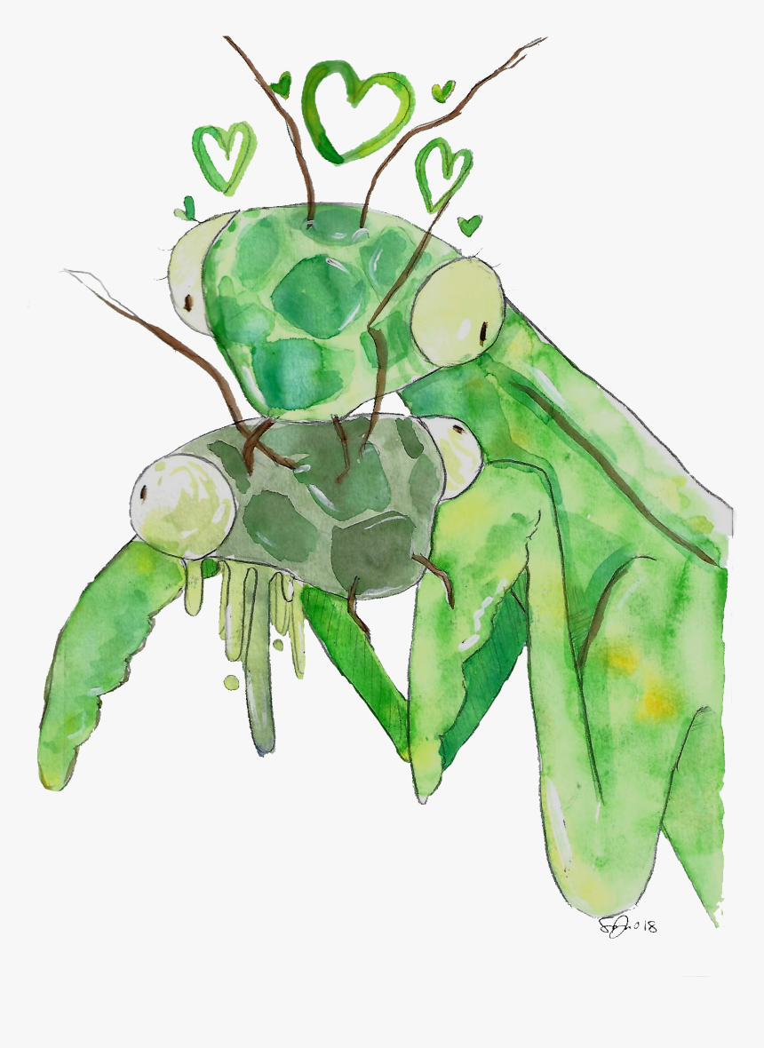 Mantis-love - Insect, HD Png Download, Free Download