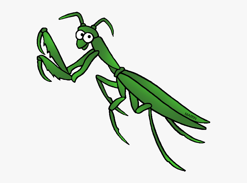 Free United States Clip Art By Phillip Martin, State - Praying Mantis Clipart, HD Png Download, Free Download