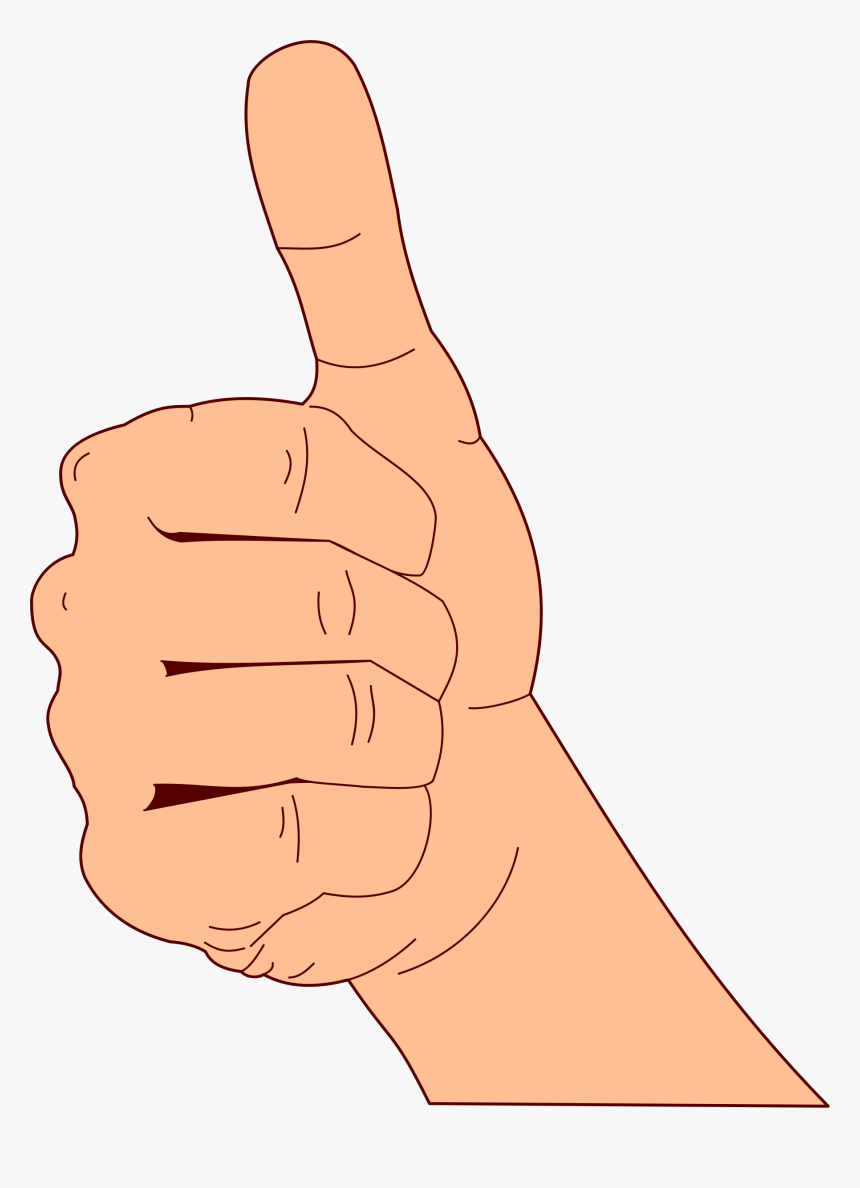 Thumbs Up - Thumbs Up Diagram, HD Png Download, Free Download