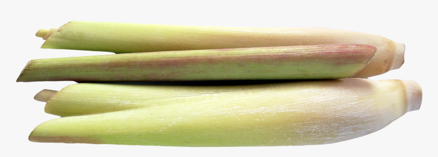 Lemongrass Png Image - Cymbopogon Png, Transparent Png, Free Download