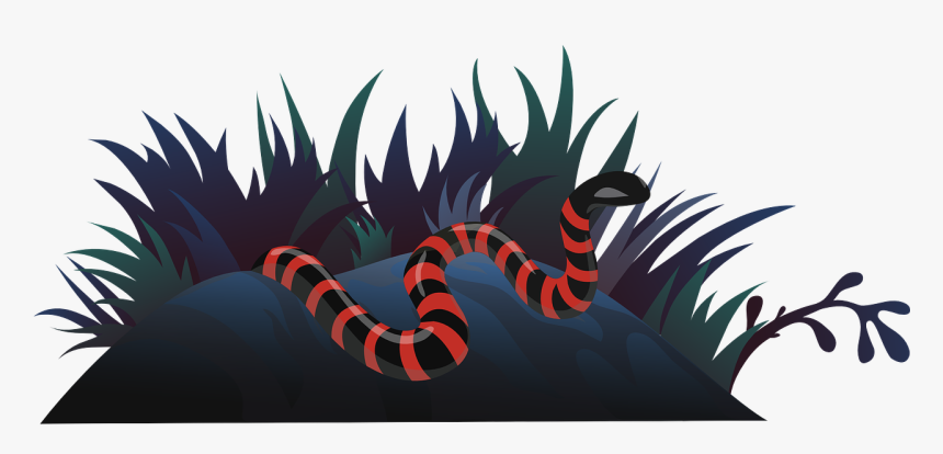 Snake, Grass, Red, Black, Reptile, Wildlife, Nature - Semak Semak Kartun, HD Png Download, Free Download