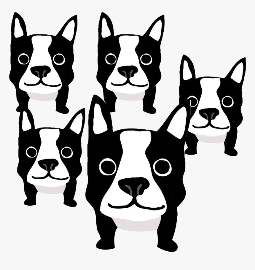 Boston Terrier French Bulldog Dog Breed Shih Tzu - Boston Terrier, HD Png Download, Free Download