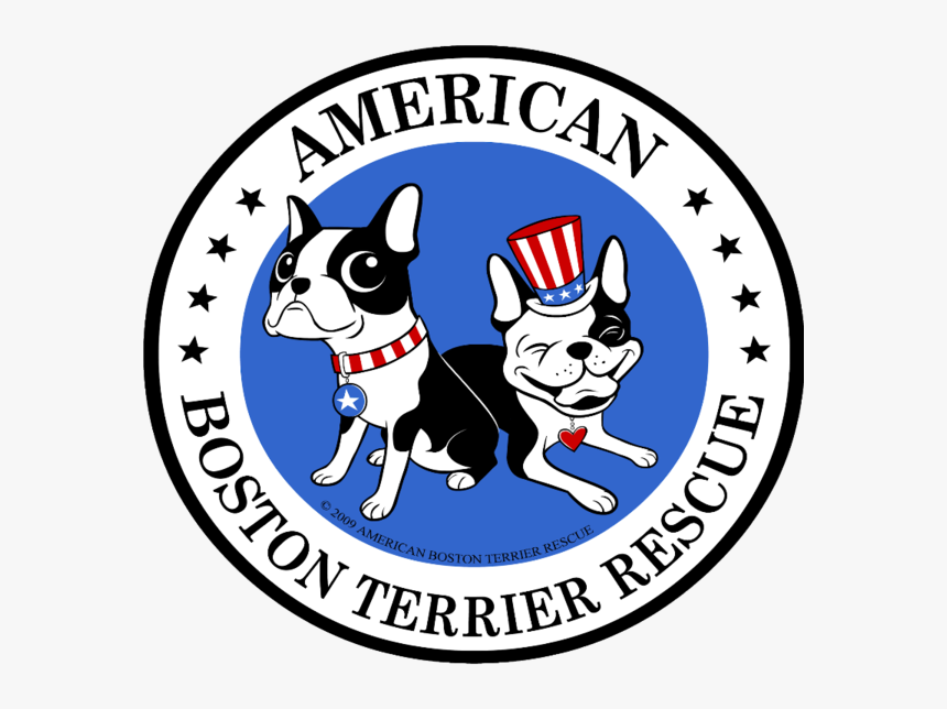 American Boston Terrier Rescue - St Catherine Institute Of Technology Malabon, HD Png Download, Free Download