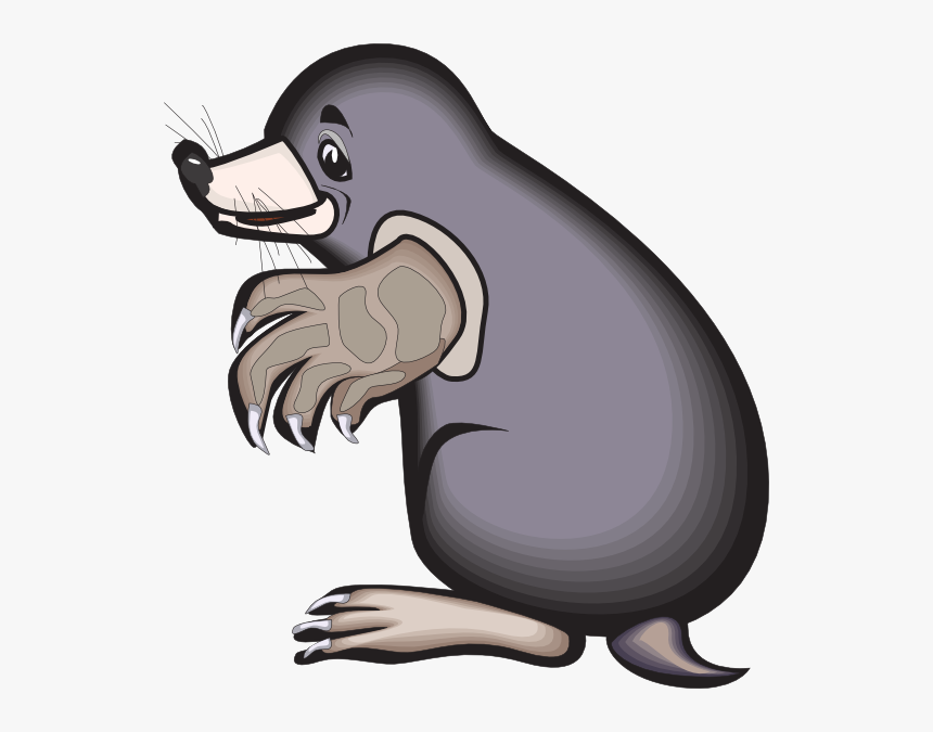 mole animal clipart background