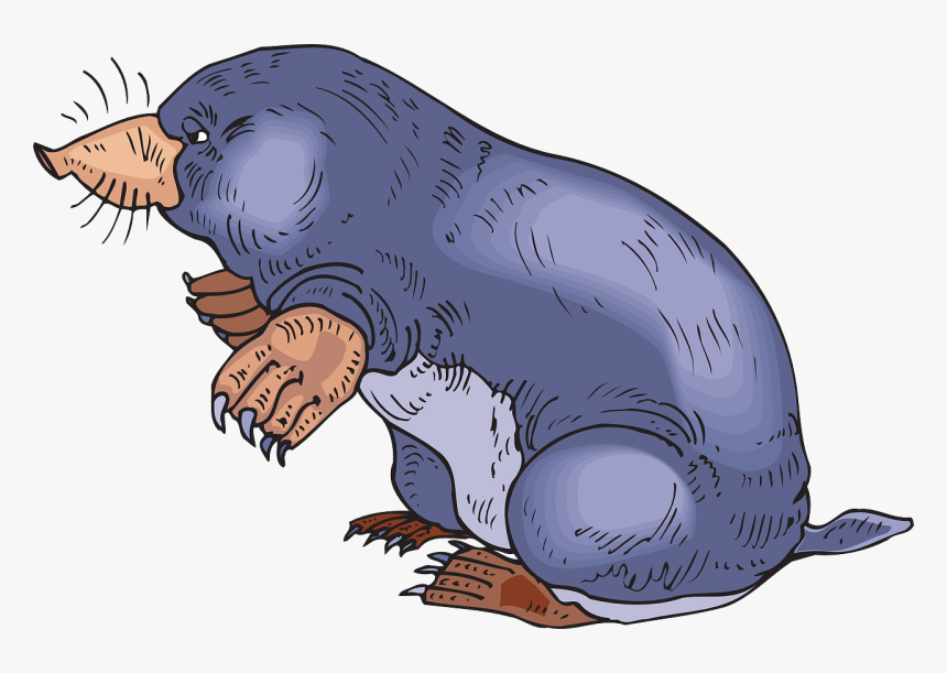 Blue Mole - Mole Clipart, HD Png Download, Free Download