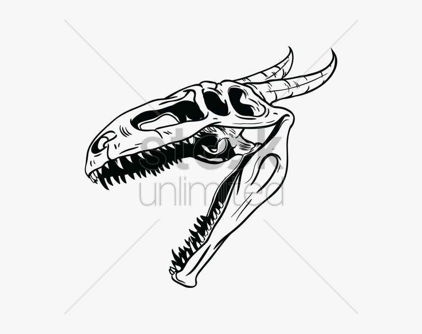 Dragon Skull Png - Dragon Skull Clipart, Transparent Png - kindpng